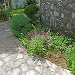 Old Mill *