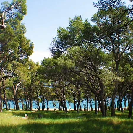 Old Mill בית נופש