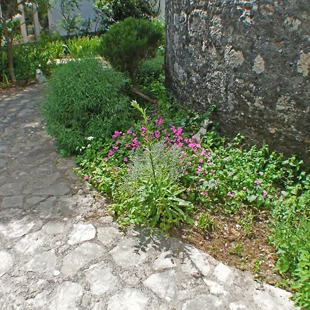 Old Mill *