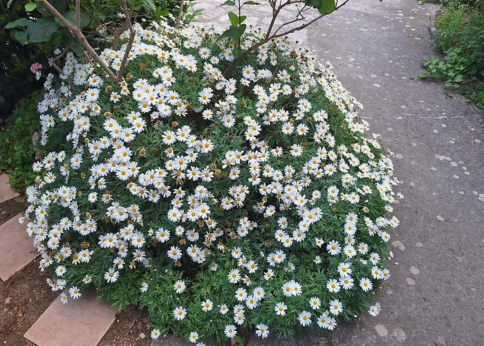 Casa vacanze Old Mill Rogoznica (Sibenik-Knin)