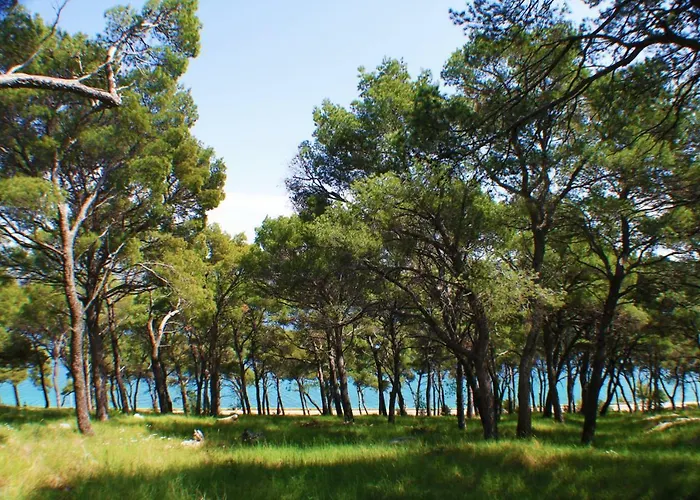 Old Mill Holiday home